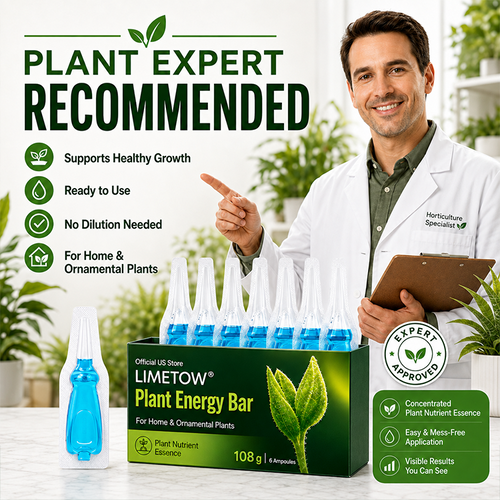 🥦𝐎𝐟𝐟𝐢𝐜𝐢𝐚𝐥 𝐒𝐭𝐨𝐫𝐞 LIMETOW® Plant Energy Stick: ready to use—no mixing required—delivering nutrients directly to the roots via the soil.